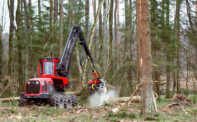 Forest cutting. Timber harvester. Forest cutting with the help of a harvester. Forest cutting with...