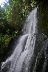Vista de la catarata Pabellón en el bosque de nubes de Cuispes, Chachapoyas Perú.