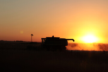 Cosechadora trabajando al atardecer © PedroErquiaga