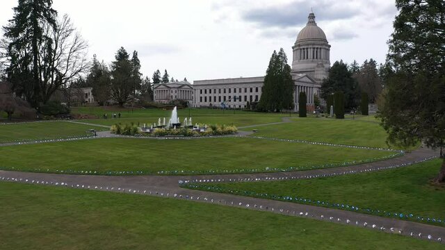Cinematic aerial rise and reveal drone footage of the springtime cherry blossoms and the Tivoli Fountain at the Washington State Capitol Building and Campus in Olympia, Washington