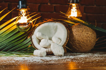 Concept of coconut candy with a ripe half cut coconut with green leaves on a brick wall background
