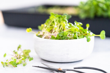 Microgreens