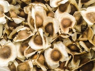 close up Moringa oleifera seeds