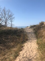 path in the dunes