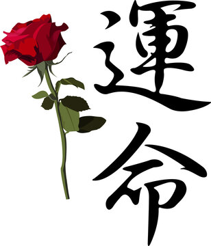 Rosa con letras japonesas para estampa o tatto
