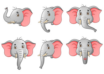 set of elephant head character cartoon. Vector illustration
