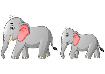 Cute mother and child elephant cartoon. Vector illustration