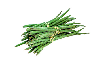 moringa thai herb on white background attach clipping path