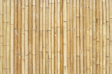 bamboo fence or bamboo wall texture background