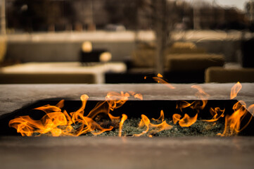 Obraz premium fire in the park