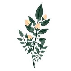 A branch of a blossoming tree. Leaves and flowers. Unblown bud. Isolated vector botanical clip art element for design.