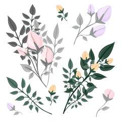 A branch of a blossoming tree. Leaves and flowers. Unblown bud. Isolated vector botanical clip art element for design.