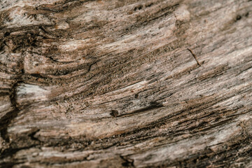 The texture of untreated old wood with cracks.