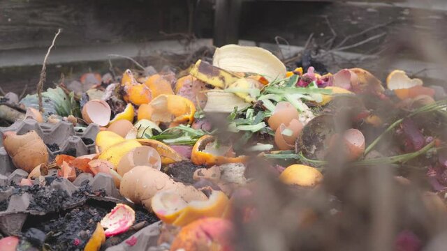Sorted food waste in the compost heap of a private plot. Driving along home-made organic humus