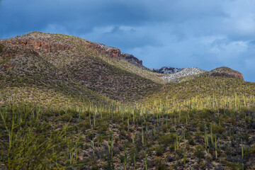 Fototapeta na wymiar Sabino Canyon in Tucson AZ