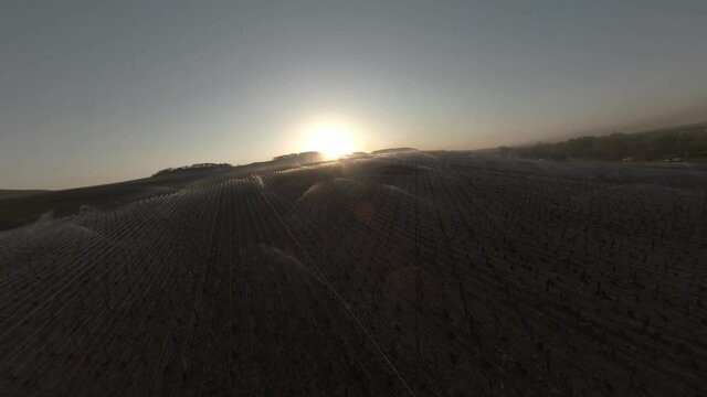 Beautiful aeriew view of the sprinklers spraying water on the Vineyards in Chablis, France during sunrise