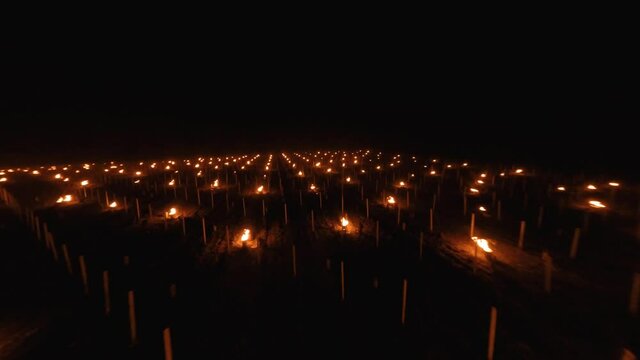 Slow turning Aerial view of the Candles burning to heat up the Vineyards in Chablis, France at night.