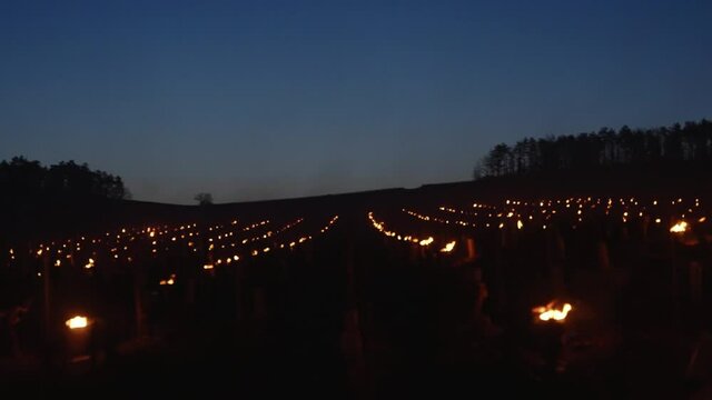 Pan shot of Candles burning to heat up the Vineyards in Chablis, France