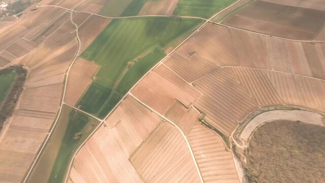 A Dynamic diving aerial view of the Vineyards in Chablis, France where a sprayer tractor is fertilizing the crops.