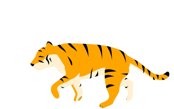 177 Best 虎模様 Images Stock Photos Vectors Adobe Stock