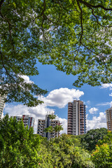 Obraz na płótnie Canvas paisagem do parque Ceret em São Paulo 