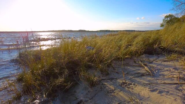 Low angle slow motion footage of the vulnerable ecosystem at an estuary on the eastern shore of chesapeake bay near the mouth of Tred Avon river. Reeds on sand move at the breeze at sunset.