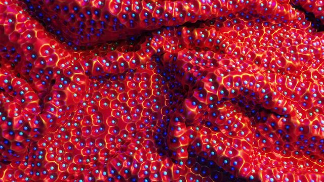 Blue pearls pulsating on red rubbery cloth - 3D Abstract scene pull out reveal