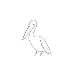 Pelican bird line drawing vector illustration
