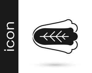 Black Fresh cabbage vegetable icon isolated on white background. Vector