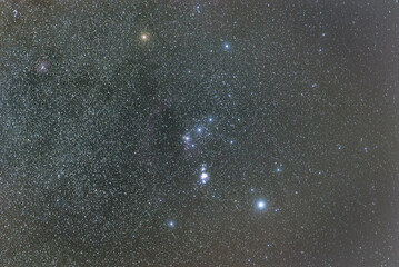 Orion