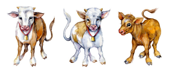 Watercolor cute baby bulls. Funny cows illustration isolated on white background. Farm animals.