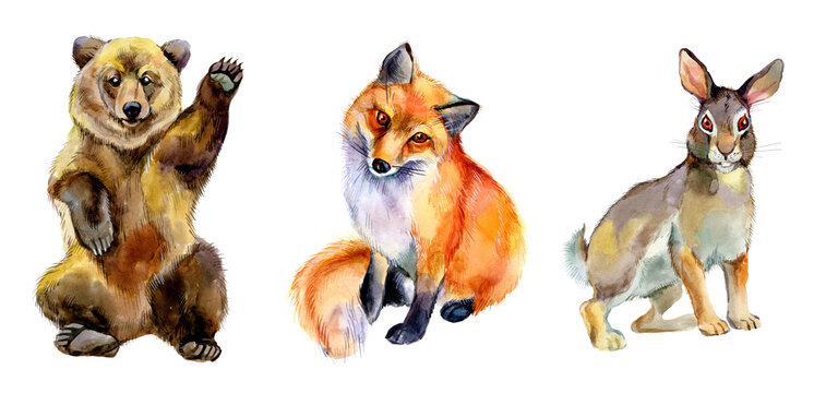 Watercolor brown bear, red fox and hare isolated on white background. Wildlife animals illustration.