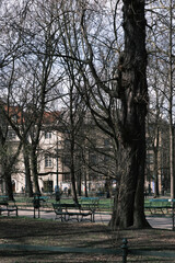 park in the city