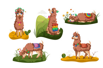 Llama, Peru alpaca animal, cartoon Mexican Lama character, mascot with cute face wear tassels on ears and blanket different poses sitting, sleeping, grazing on grass, stand on desert sand isolated set