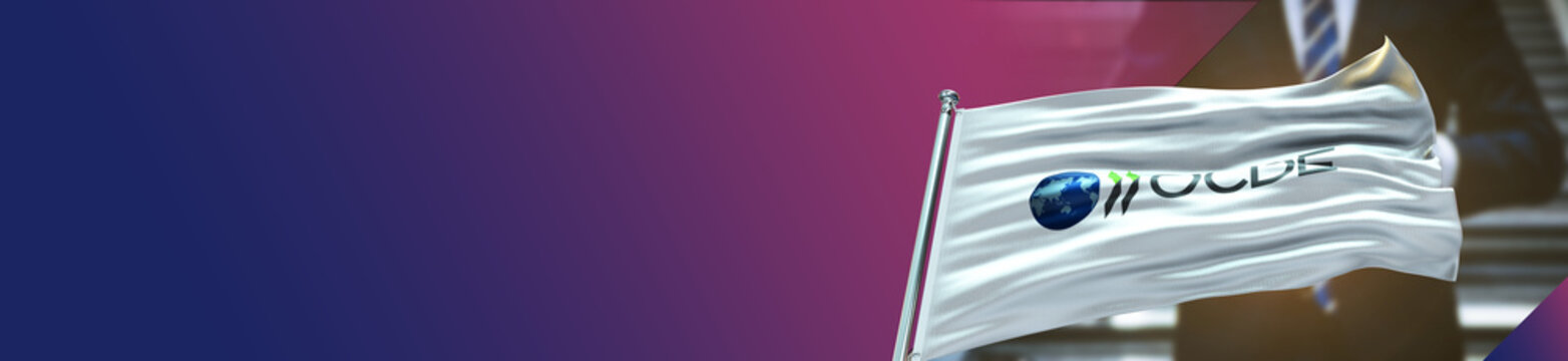 OCDE Flag with Businessman and large Gradient Single Flag 