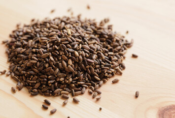 Seeds of milk thistle (Silybum marianum), known as Scottish thistle or Mariana thistle.on a wooden table