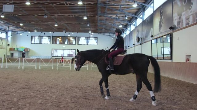 Girl riding her horse on hippodrome