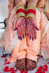 Indian wedding henna mehendi mehndi hands close up