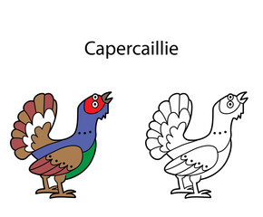 Funny cute animal capercaillie isolated on white background. Linear, contour, black and white and colored version. Illustration can be used for coloring book and pictures for children