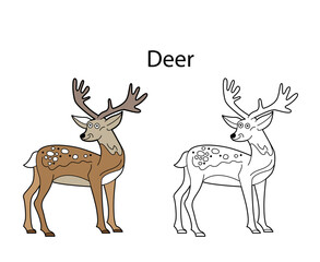 Funny cute animal deer isolated on white background. Linear, contour, black and white and colored version. Illustration can be used for coloring book and pictures for children