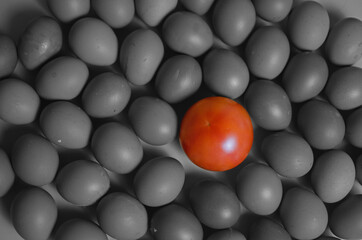 Red tomato on a background of black and white eggs