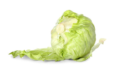 Iceberg lettuce on white background