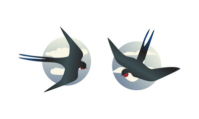 Swallow or Martin as Passerine Bird with Long Pointed Wings Vector Set