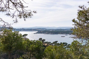 Fototapeta na wymiar Landscape from the forest of the coast of PALAMOS