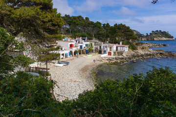 View from the forest of the stone beach of Cala CALA S'ALGUER