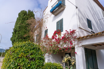 Fototapeta na wymiar View of a house with plants around and flowers on the walls