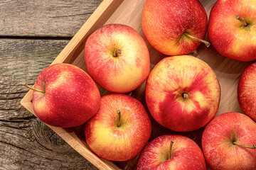 Ripe garden apple fruits in basket in wooden tray on wooden table