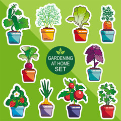 Vegetables and herbs in pots. Vector set. Stickers.