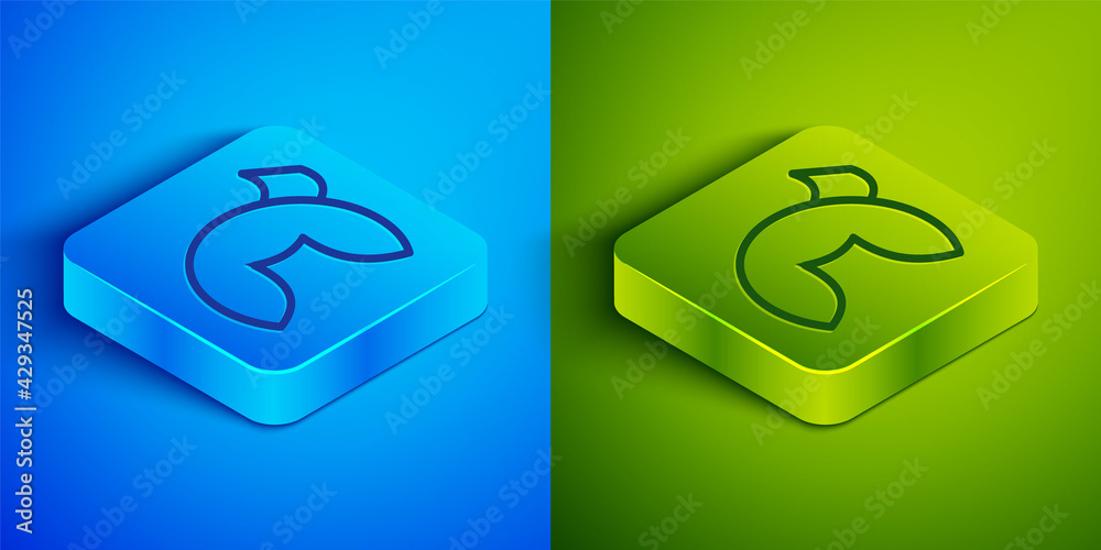 Canvas Prints isometric line chinese fortune cookie icon isolated on blue and green background. asian traditional.