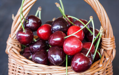 ripe cherries in a small basket close-up on a gray background